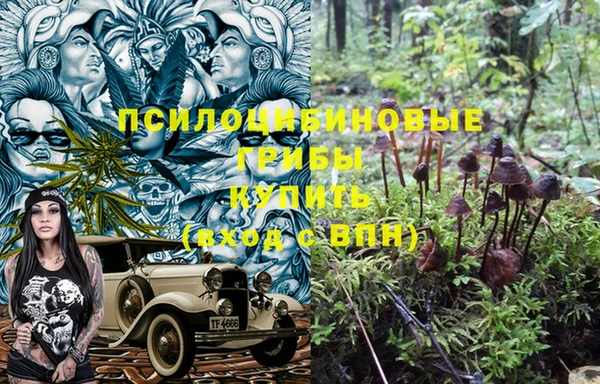 прущий лед Вяземский