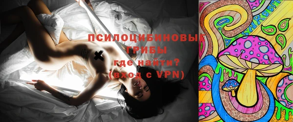 МДПВ Абдулино