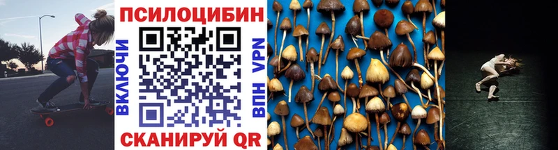 shop как зайти  Питкяранта  Псилоцибиновые грибы GOLDEN TEACHER 